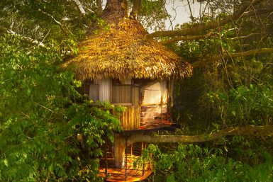 Treehouse-Peru-2