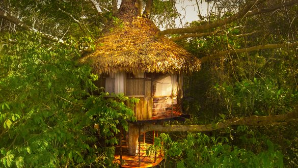 Treehouse-Peru-2