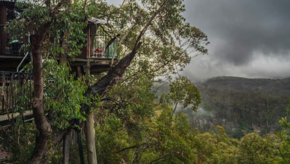 Blue-Mountains-Love-Cabins-aussicht